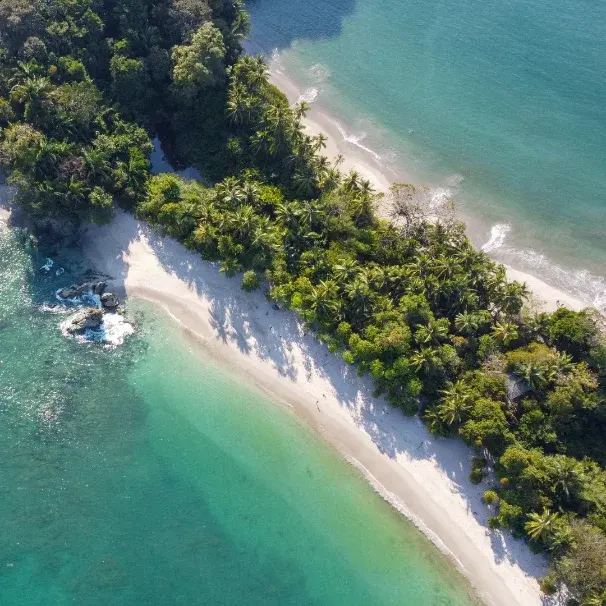 How to get from San José to Manuel Antonio