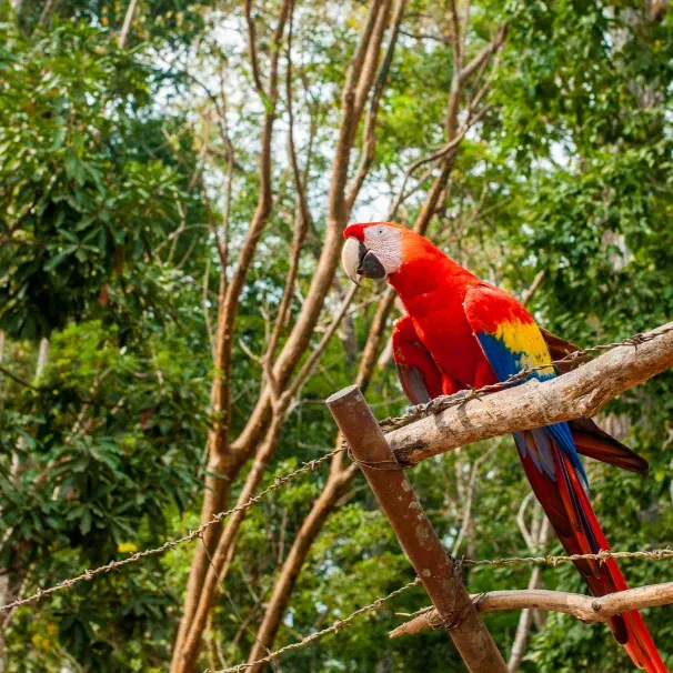 Honduras national parks & nature guide