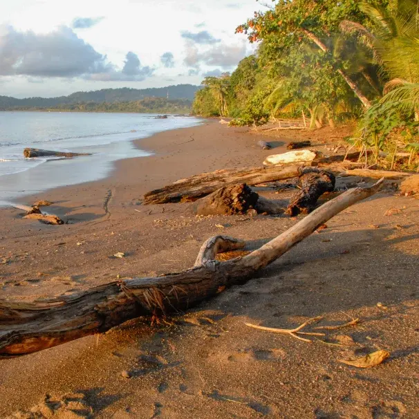 How to get to Drake Bay & Corcovado (the easy