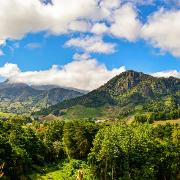 Panama national parks & nature guide