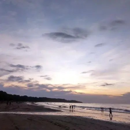 Tamarindo