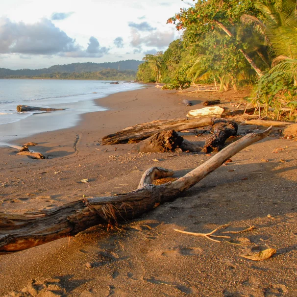 How to get to Drake Bay &amp; Corcovado (the easy way)
